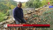 À la découverte des châtaigniers cévenols