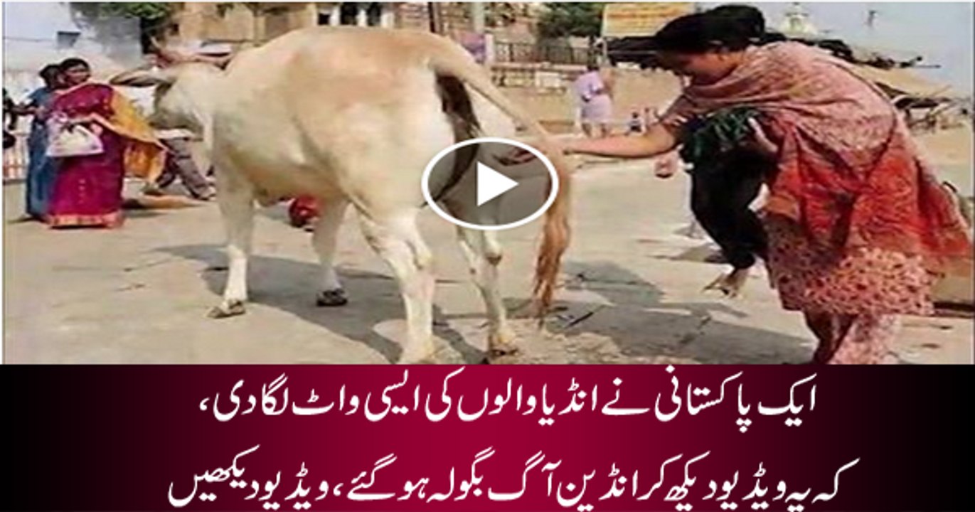 Pakistani Singer Troubled Indians By Singing This Song