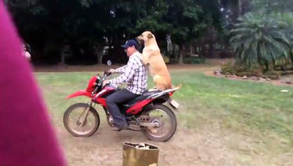 DEVAM ET ABİ NİYE DURUYON ARKANDA BEN VARIM