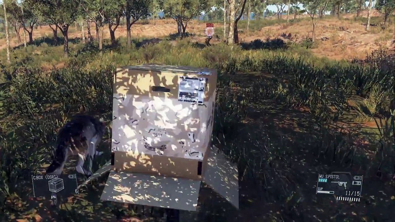 Metal Gear Solid V - Bloopers, Glitches, & Silly Stuff