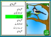 Bulbul Ka Bacha Urdu/Hindi poem for Kids