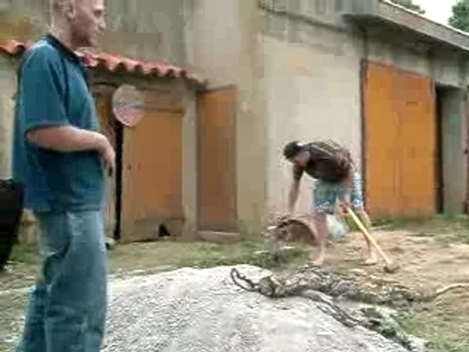 Les seb