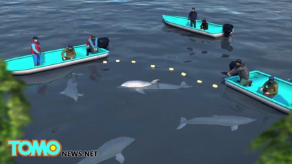 アノニマス攻撃「なぜ？」の声