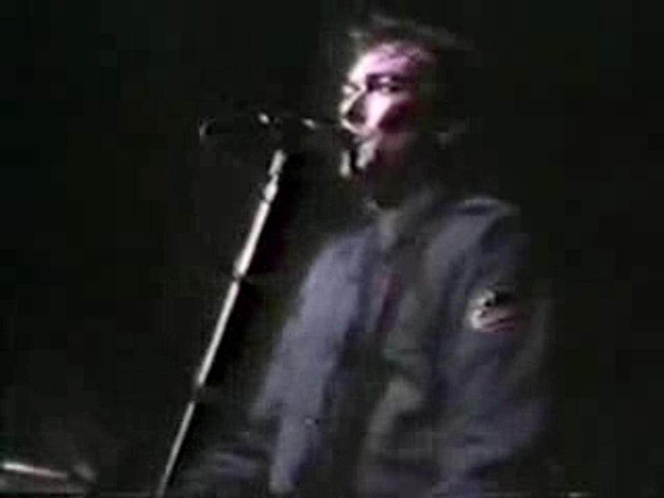 Gang of Four - armalite rifle