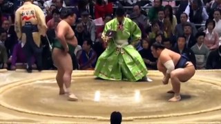 Sumo Makuuchi recap Haru basho