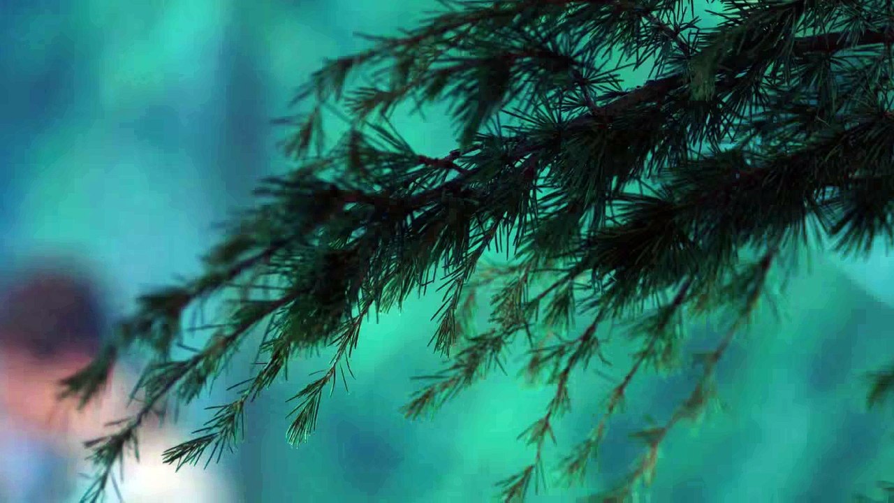 Scouts Guide to the Zombie Apocalypse -Selfie