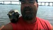 Seals Really Are Dogs Of The Sea! Man Finds New Best Friend While Riding Boat