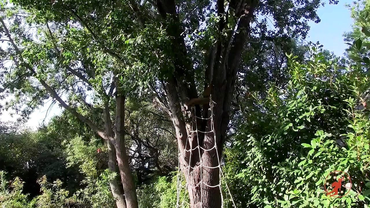 Adventure Kids 3 Kids Nerf War Operation Gorilla Escape