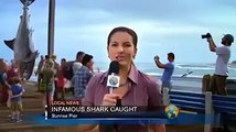 man comes out of shark alive