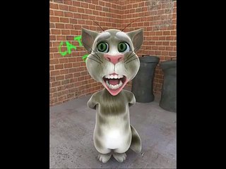 Why this kolaveridi-talking tom