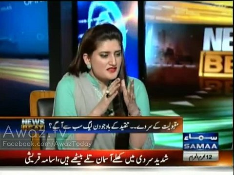 Nawaz Sharif is proving his brother liar by saying that he didn't promise to end loadshedding in 6 months - Hasan Nisar