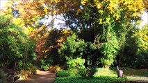 BestandAufnahme Pinneberg - Rosengarten Oktober 2015 /Full Film/Ganzer Film