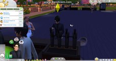 Sims wedding??