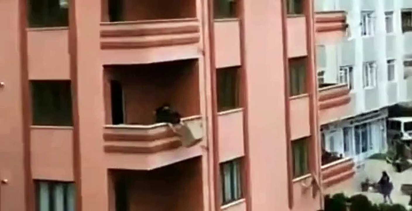 Using a Seesaw To Move Your Stuff Is a Bad Idea!--Watch Fun Clips-Funny Videos Collection