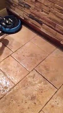 Carpet and Tile Cleaning Services Orlando