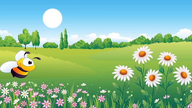 Arı Vız Vız | Bebek Şarkıları | Çocuk Şarkıları | Adisebaba TV