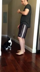 Best Kitty Hug Ever!