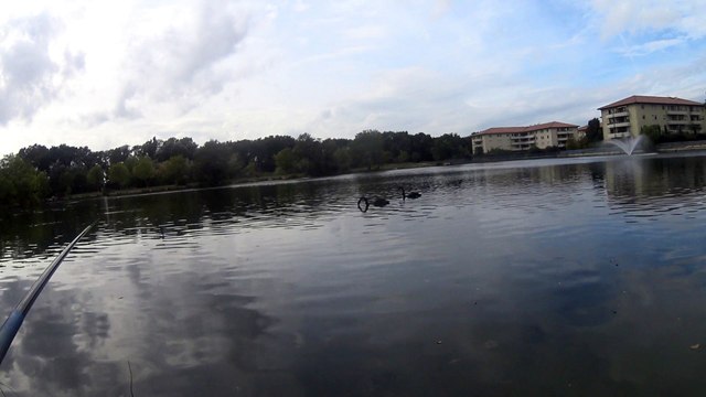 Lac de Vitrolles (Bouches du Rhône)