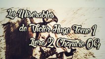 Les Misérables, de Victor Hugo Tome 1 , Livre 2 Chapitre 09 [ Livre Audio] [Français]