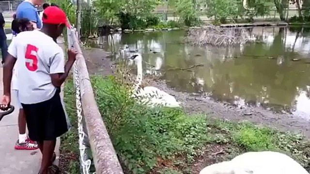 Fotoğraf çekinelim derken bakın ne oldu - Funny videos - Komik videolar