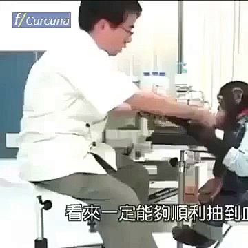 İftara özel Hurmalı Havuç Salatası nasıl yapılır_ - Funny videos - Komik videolar