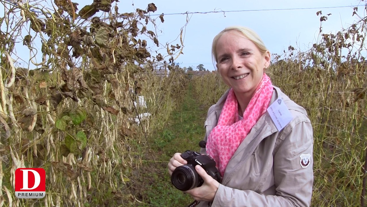 La coopérative du haricot tarbais veut séduire les blogueuses