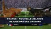 Rugby: Le match France - Nouvelle-Zélande rejoué par des chatons