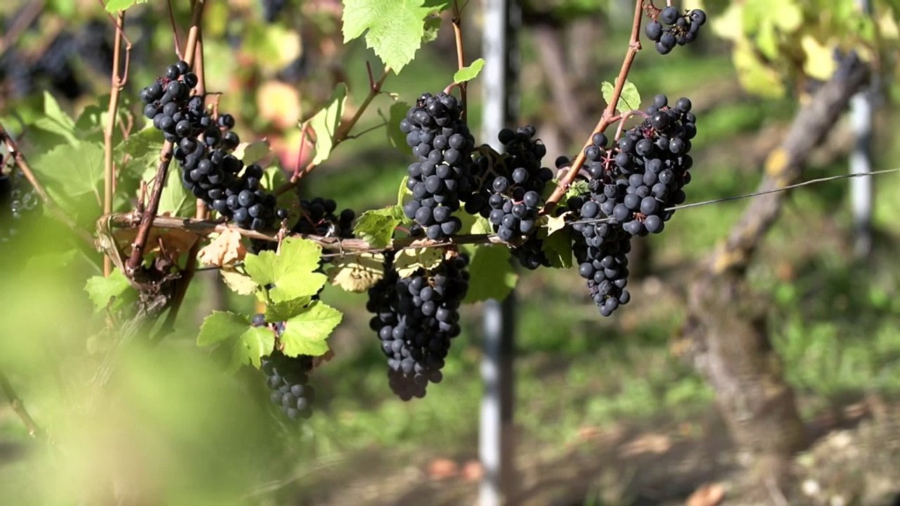 Cap à l'Est - Pays du Toulois - Episode 2