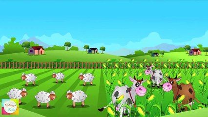 Little Boy Blue Nursery Rhymes | Cartoon Animation Songs For Children