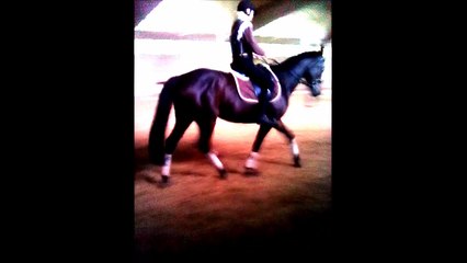 film  HARAS DU PIN DU 14.10.15