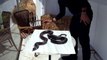 3D Drawing of a Snake - 3D Painting Optical Illusion!