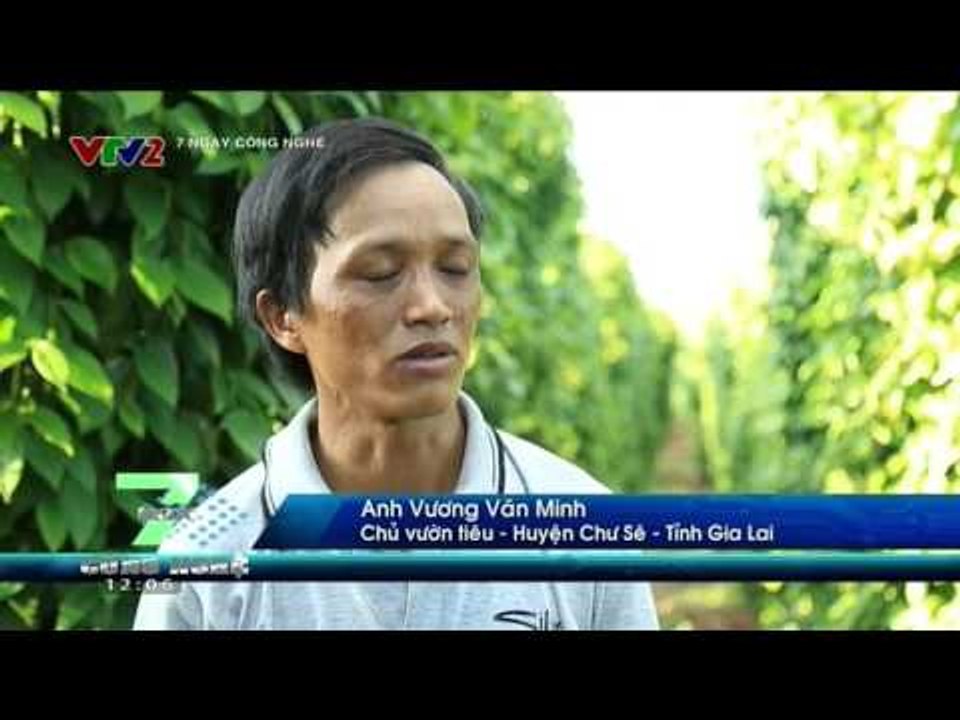 7 NGÀY CÔNG NGHỆ | 12/10/2015