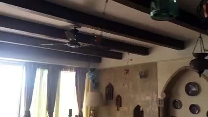 Earthquake felt in Dehli, India