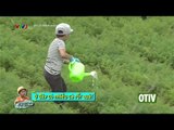 BỐ ƠI! MÌNH ĐI ĐÂU THẾ: TẬP 4 - TÊ GIÁC NÓNG TÍNH, MUỐN CHƠI NHƯNG KHÔNG MUỐN THUA [FULL HD]