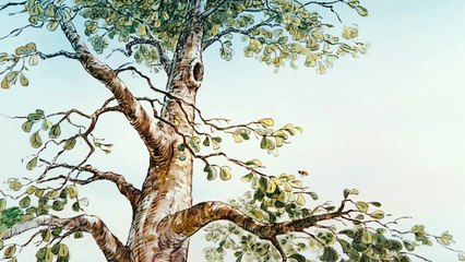 The Mini Adventures of Winnie the Pooh: Climb a Tree