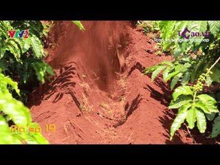 [SP 19] MÁY ĐÀO XỚI BỒN CÀ PHÊ - ĐỖ ĐỨC QUANG  | SKGP 2015