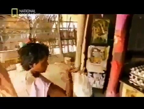 National Geographic Wild 2014 Killer Tigers Hunting Humans Eating Tiger of India Full Docu