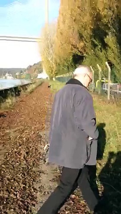 Balade du matin