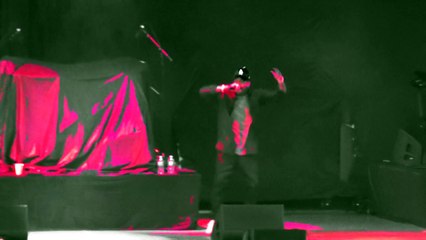 YG "Bicken Back Being Bool" / OVO Fest 2015 (Shot by- Jay Nance) ©