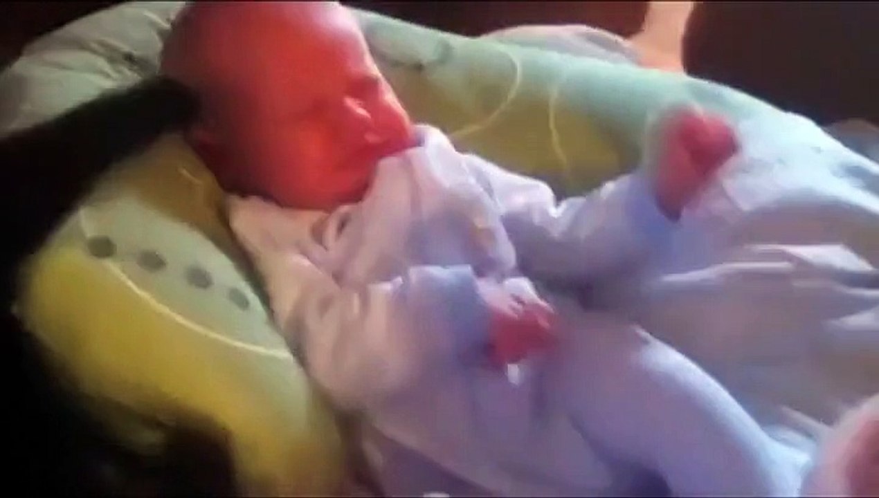 Un chat réconforte le bébé qui pleure