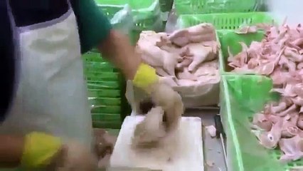 Professional chicken cutting techniques