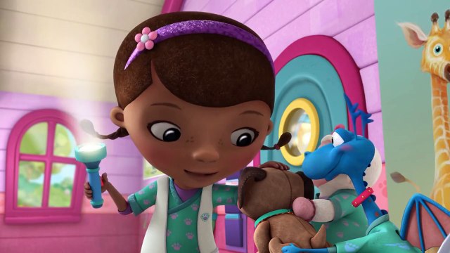 Docun Veteriner Kliniği - Findo ile Tanışın!