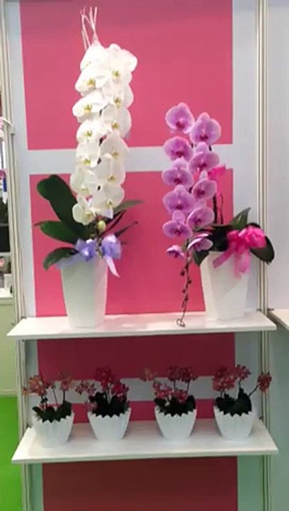 Istanbul çiçek siparişi