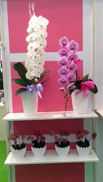 Istanbul çiçek siparişi