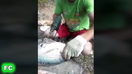 Ultimate FAILS of MARCH 2015 ★ Fail Videos Compilation ★ FailCity