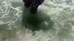 Funny Video Shark Attack - Funny Pranks Videos Clips