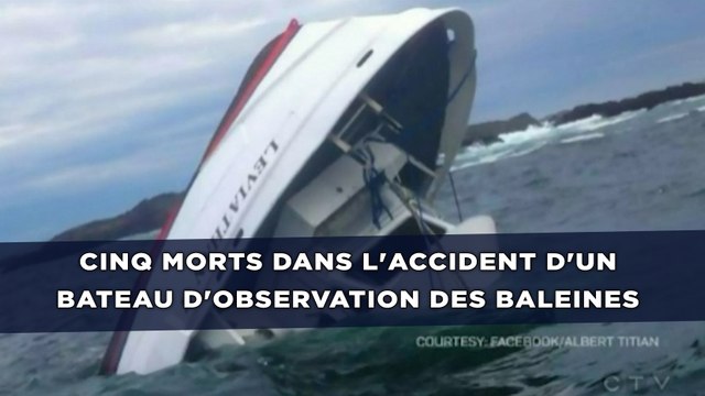 Cinq morts dans l'accident d'un bateau d'observation des baleines