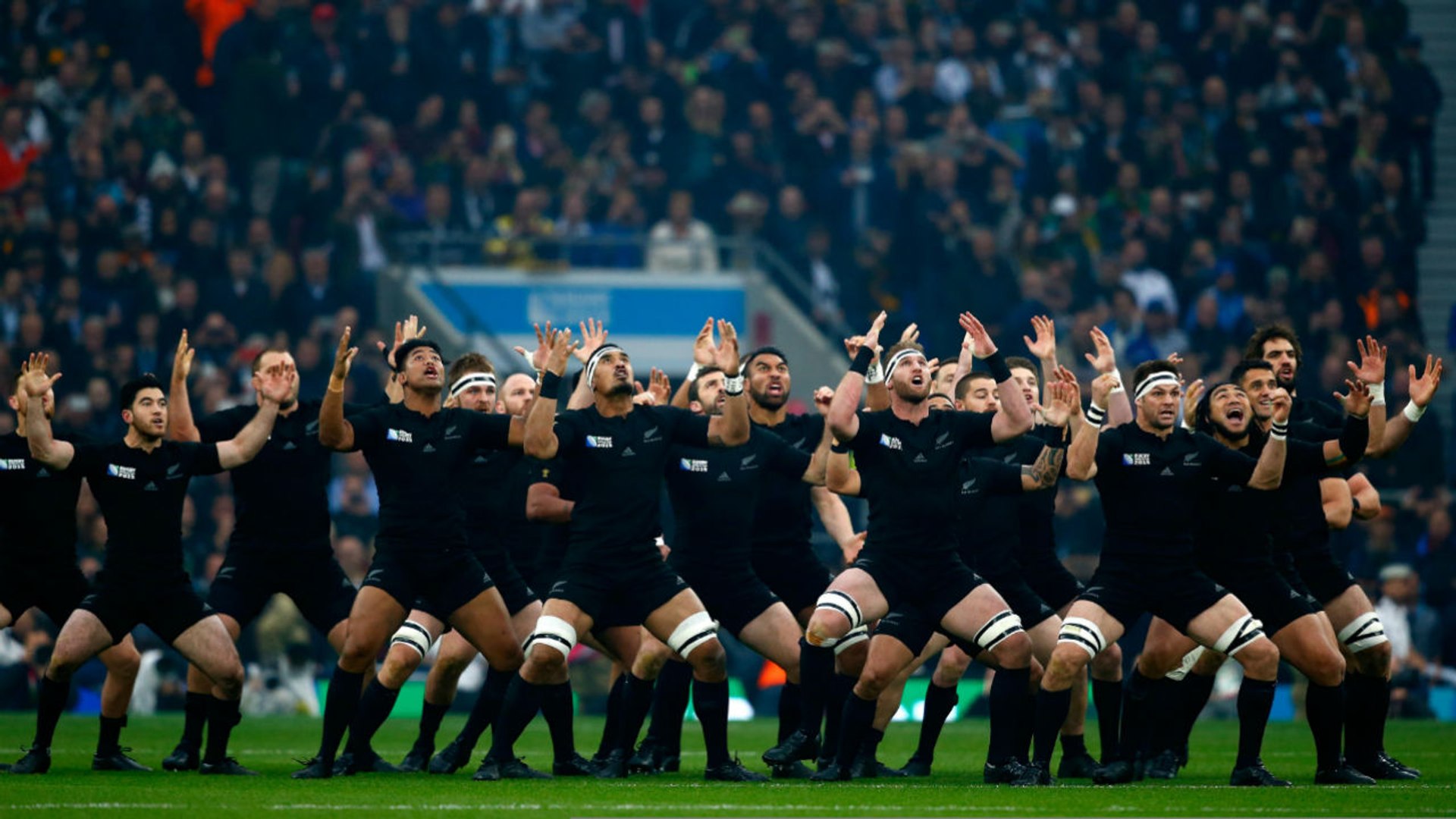 All Blacks lay the Haka down v Springboks - video Dailymotion