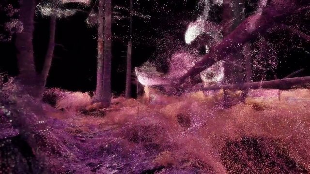 Voir à travers les yeux d'animaux en réalité virtuelle