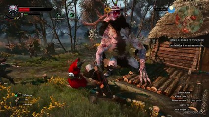 retour au marais de torsechine2